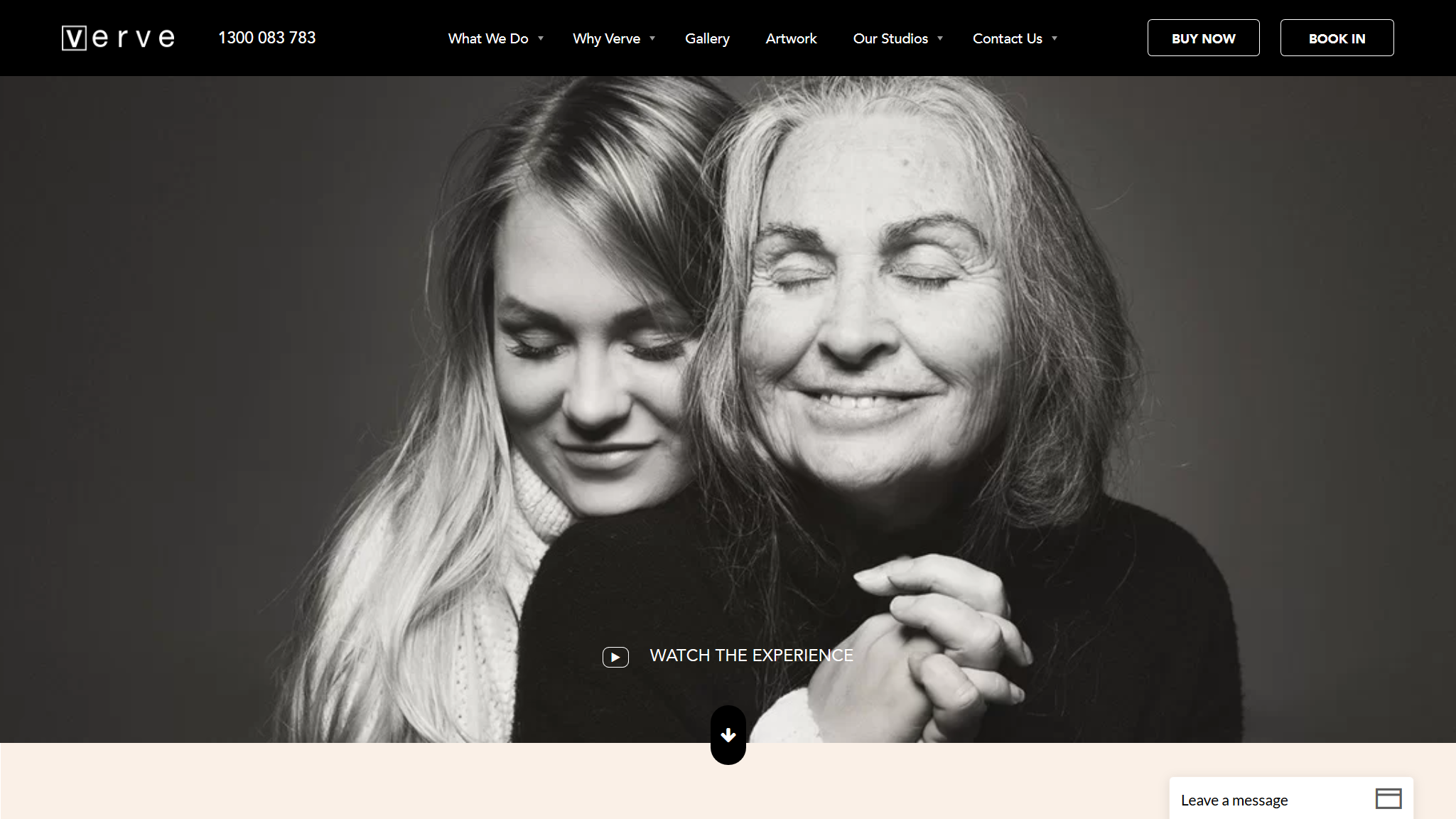 Verve website