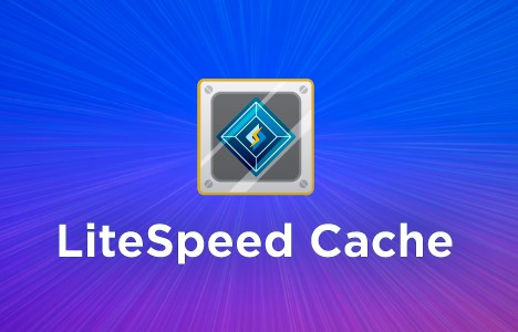 wordpress cache